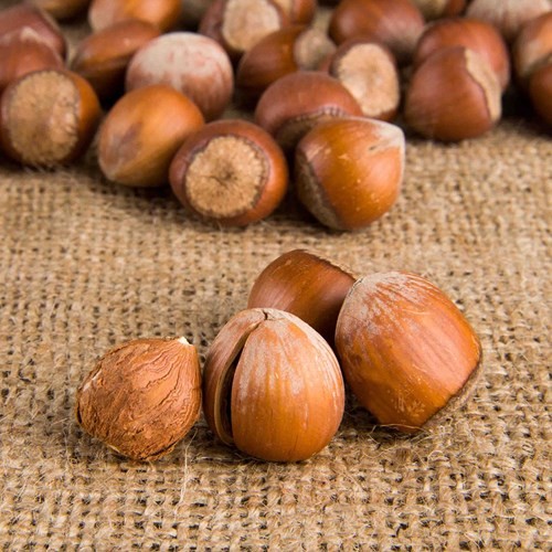 Doğal ve katkısız Kabuklu Çiğ Fındık 3 KG